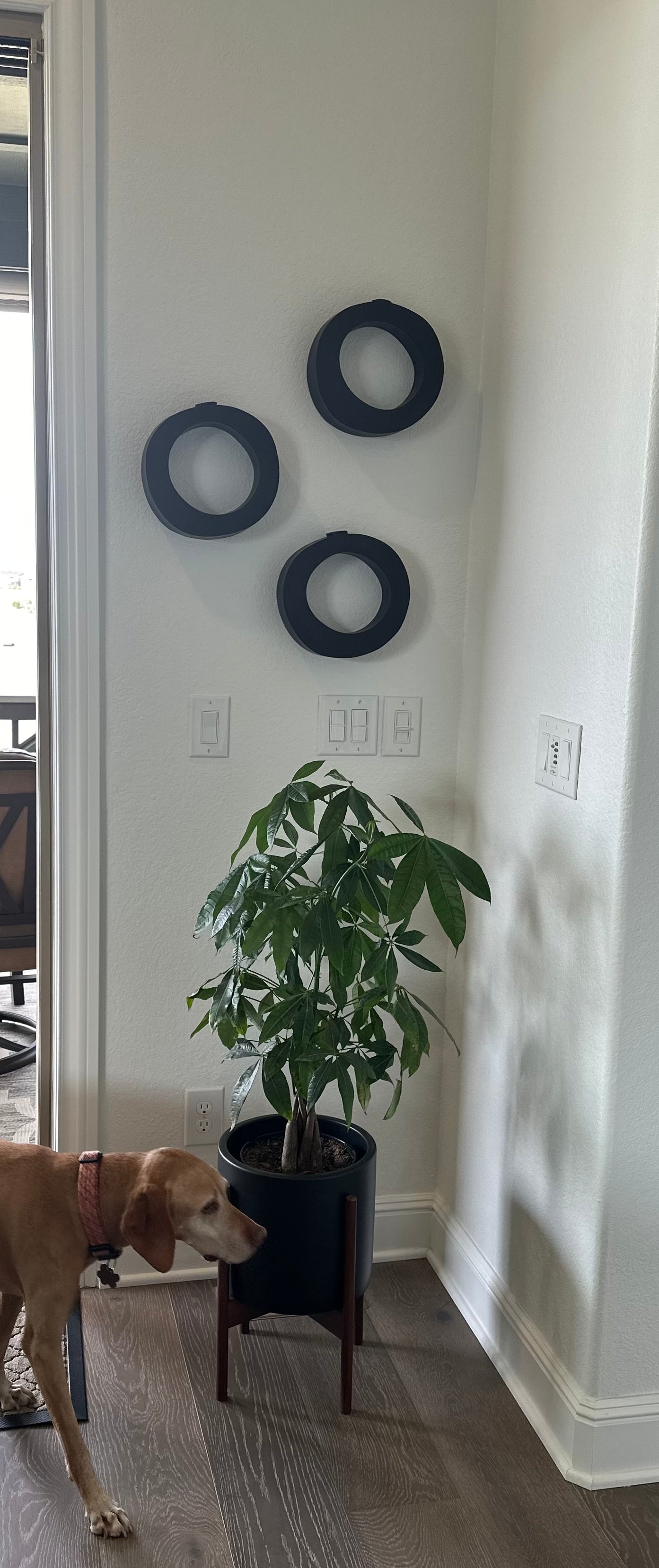 Three Rings in Green