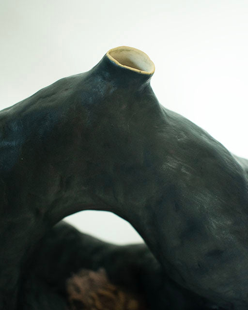 Terra Obscura
